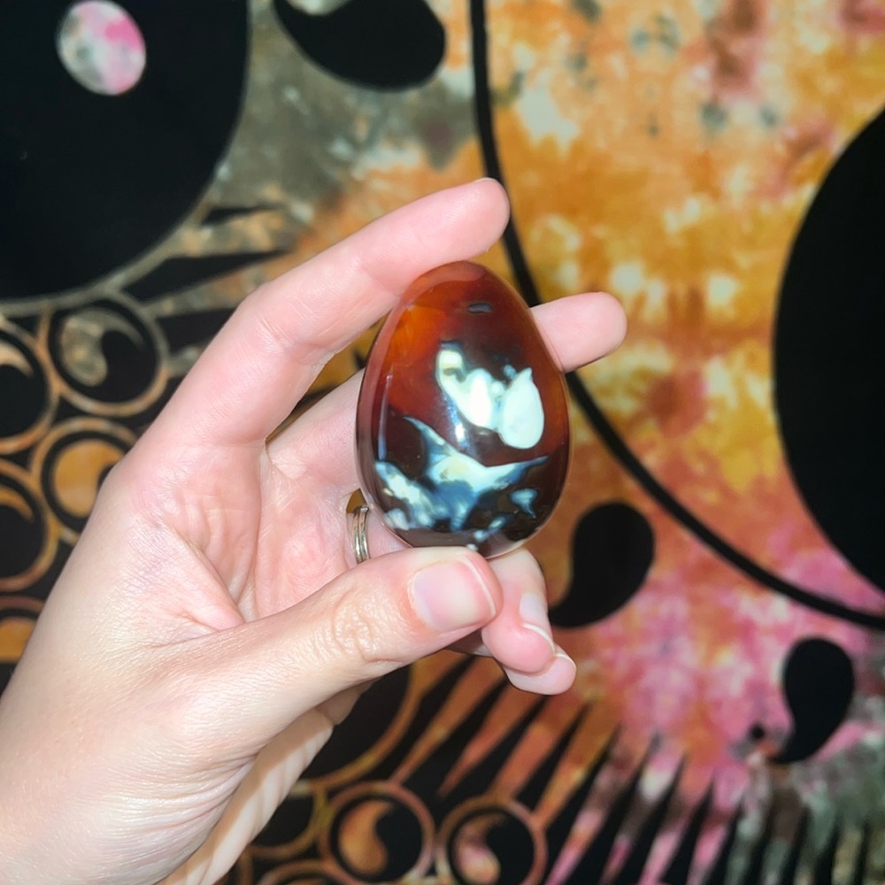 Carnelian orca agate egg 🥚
